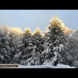 Meet your Posher, Lucy